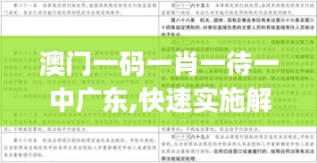 澳门一码一肖一待一中广东,快速实施解答研究_WWO3.48