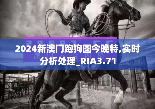 2024新澳门跑狗图今晚特,实时分析处理_RIA3.71