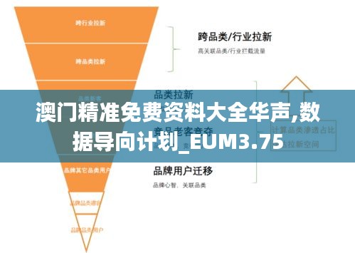 澳门精准免费资料大全华声,数据导向计划_EUM3.75