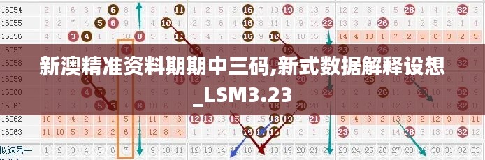 新澳精准资料期期中三码,新式数据解释设想_LSM3.23