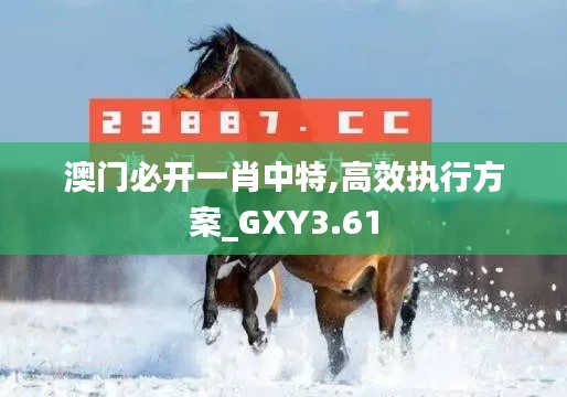 澳门必开一肖中特,高效执行方案_GXY3.61