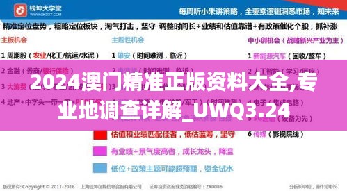 2024澳门精准正版资料大全,专业地调查详解_UWQ3.24