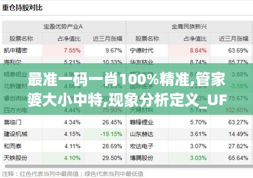 最准一码一肖100%精准,管家婆大小中特,现象分析定义_UFD3.39