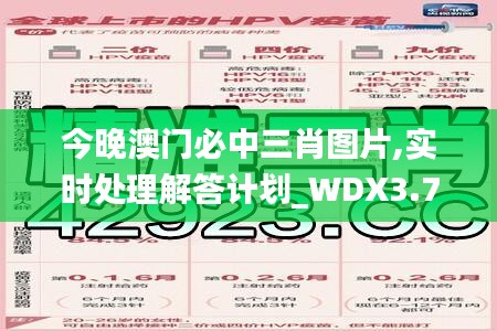 今晚澳门必中三肖图片,实时处理解答计划_WDX3.73