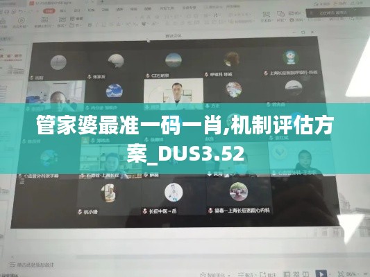 管家婆最准一码一肖,机制评估方案_DUS3.52