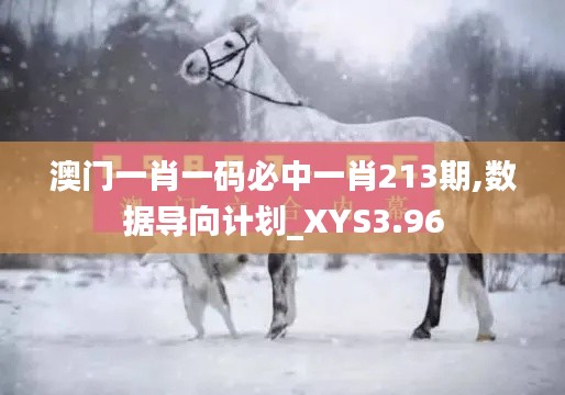 澳门一肖一码必中一肖213期,数据导向计划_XYS3.96