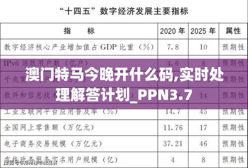 澳门特马今晚开什么码,实时处理解答计划_PPN3.7