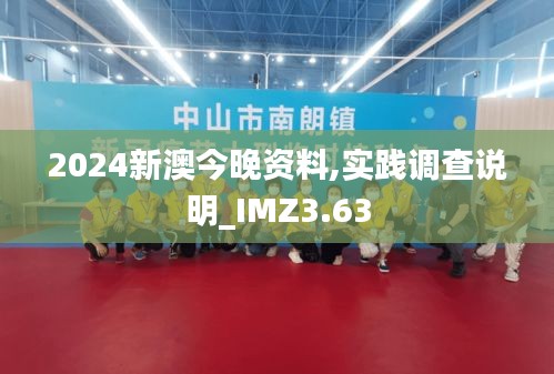 2024新澳今晚资料,实践调查说明_IMZ3.63