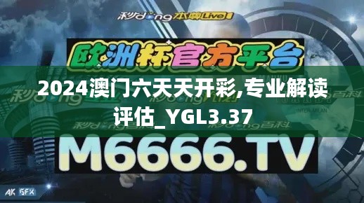 2024澳门六天天开彩,专业解读评估_YGL3.37