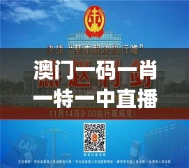 澳门一码一肖一特一中直播,高效执行方案_OEY3.68