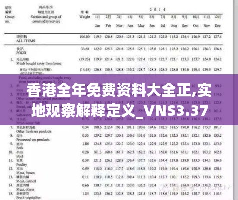 香港全年免费资料大全正,实地观察解释定义_VNS3.37