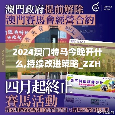 2024澳门特马今晚开什么,持续改进策略_ZZH3.63