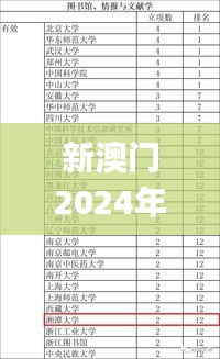 新澳门2024年资料大全宫家婆,平衡执行计划实施_RNX3.24