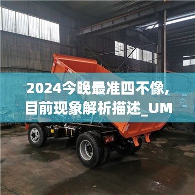 2024今晚最准四不像,目前现象解析描述_UMQ3.95