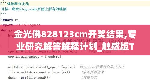 金光佛828123cm开奖结果,专业研究解答解释计划_触感版TML6.33