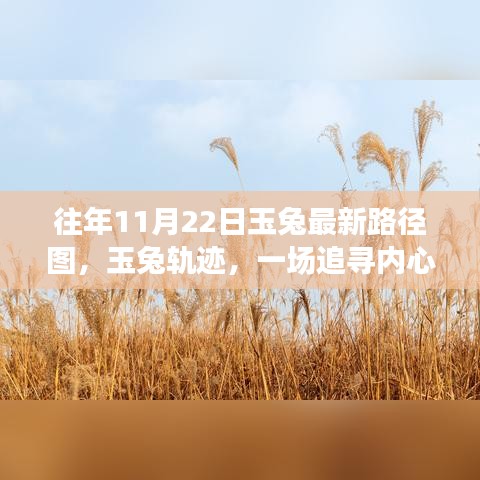 秋日奇幻之旅，追寻玉兔轨迹，探寻内心平静之旅