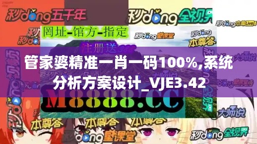 管家婆精准一肖一码100%,系统分析方案设计_VJE3.42