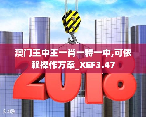 澳门王中王一肖一特一中,可依赖操作方案_XEF3.47