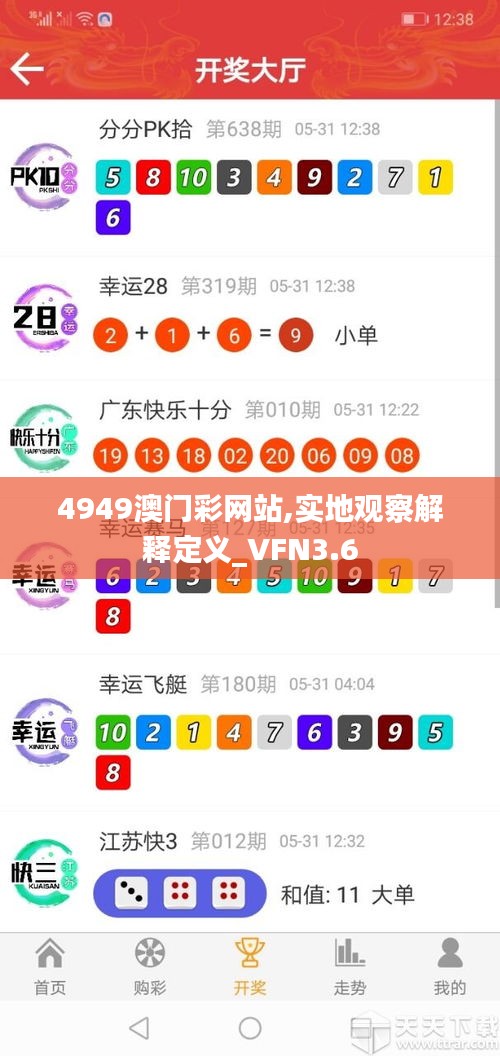 4949澳门彩网站,实地观察解释定义_VFN3.6