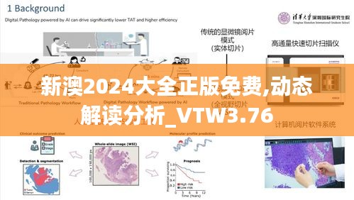 新澳2024大全正版免费,动态解读分析_VTW3.76