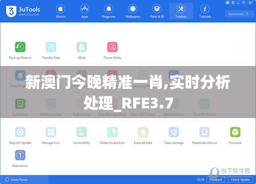 新澳门今晚精准一肖,实时分析处理_RFE3.7