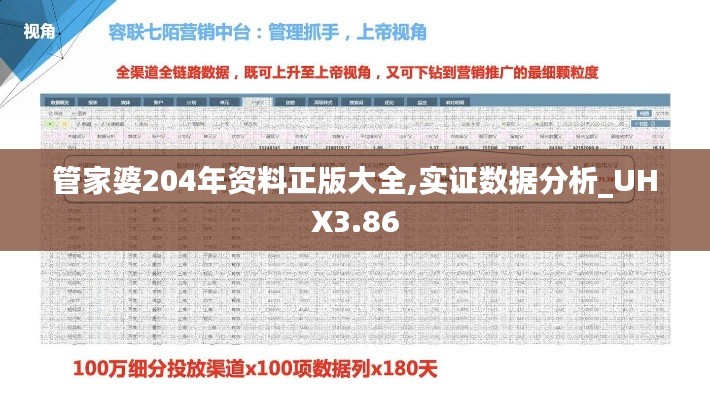 管家婆204年资料正版大全,实证数据分析_UHX3.86