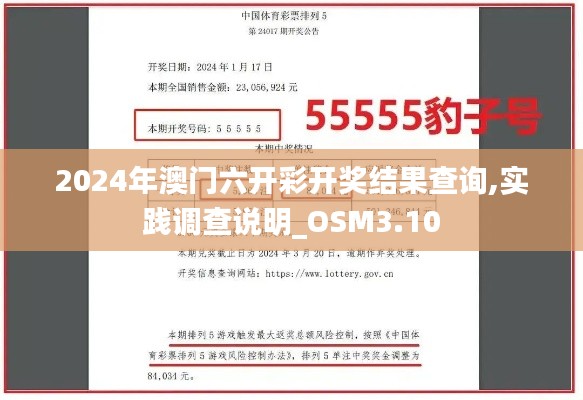 2024年澳门六开彩开奖结果查询,实践调查说明_OSM3.10