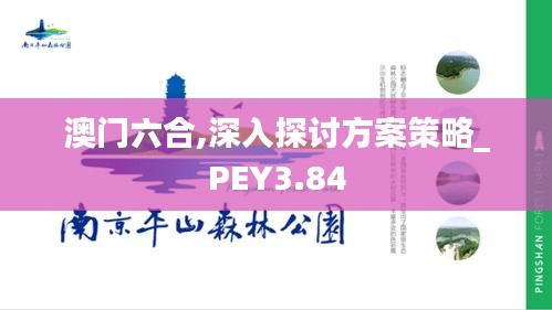 澳门六合,深入探讨方案策略_PEY3.84