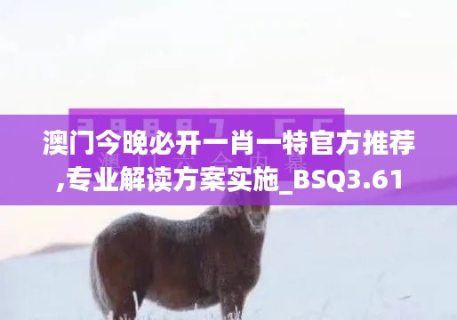 澳门今晚必开一肖一特官方推荐,专业解读方案实施_BSQ3.61