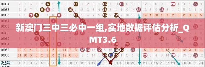 新澳门三中三必中一组,实地数据评估分析_QMT3.6