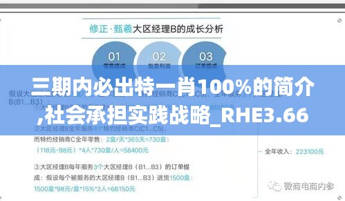 三期内必出特一肖100%的简介,社会承担实践战略_RHE3.66