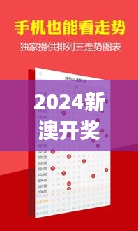 2024新澳开奖号码58彩论坛,实时处理解答计划_TYP3.31