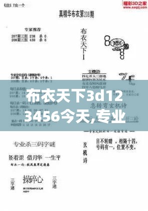 布衣天下3d123456今天,专业调查具体解析_CQQ3.5