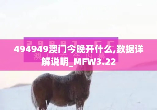 494949澳门今晚开什么,数据详解说明_MFW3.22