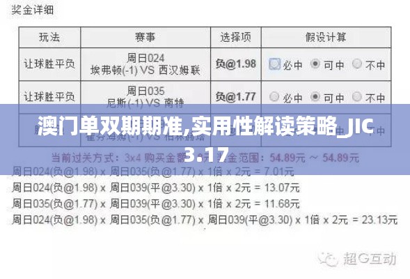 澳门单双期期准,实用性解读策略_JIC3.17