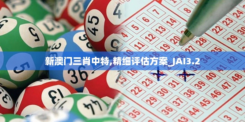 新澳门三肖中特,精细评估方案_JAI3.2