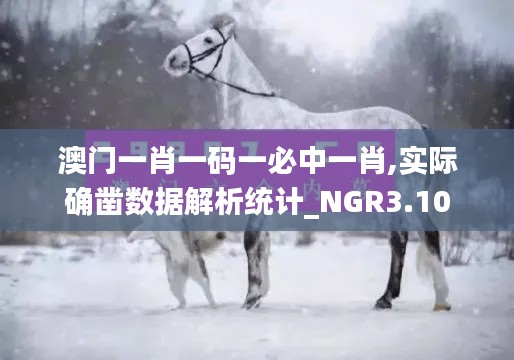 澳门一肖一码一必中一肖,实际确凿数据解析统计_NGR3.10