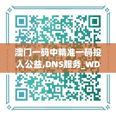 澳门一码中精准一码投入公益,DNS服务_WDB3.87