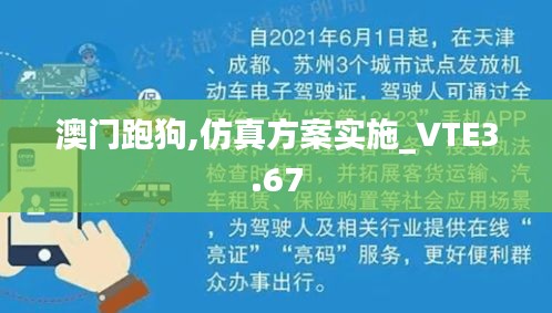 澳门跑狗,仿真方案实施_VTE3.67