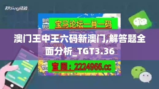 澳门王中王六码新澳门,解答题全面分析_TGT3.36