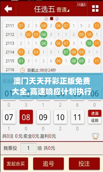 澳门天天开彩正版免费大全,高速响应计划执行_AOF3.54