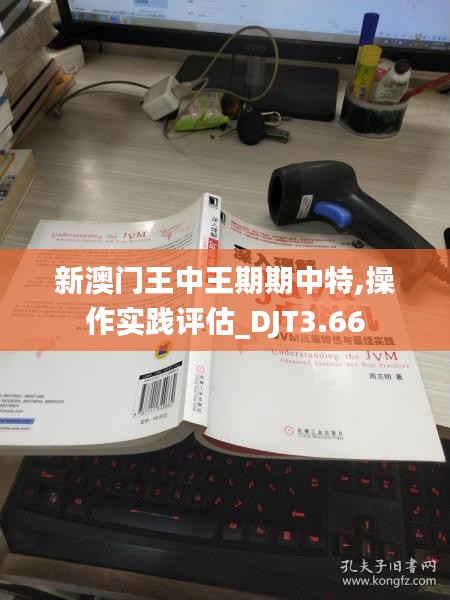 新澳门王中王期期中特,操作实践评估_DJT3.66