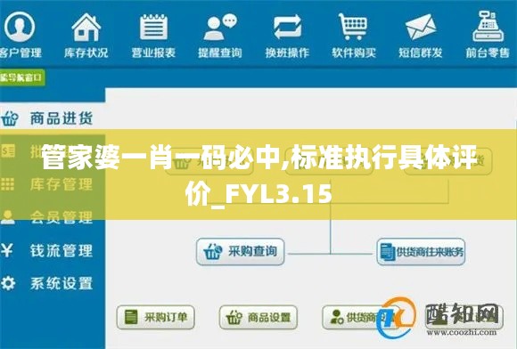 管家婆一肖一码必中,标准执行具体评价_FYL3.15