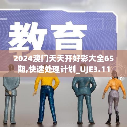 2024澳门天天开好彩大全65期,快速处理计划_UJE3.11