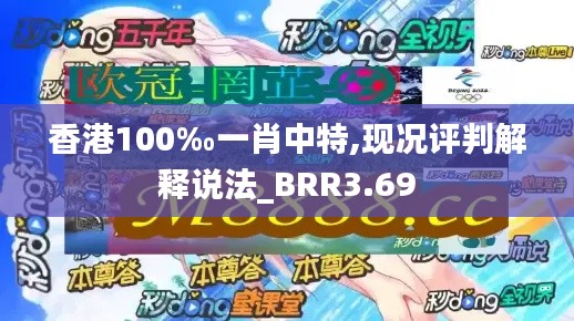 香港100‰一肖中特,现况评判解释说法_BRR3.69