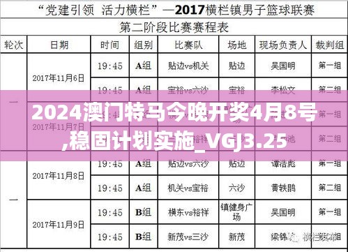 2024澳门特马今晚开奖4月8号,稳固计划实施_VGJ3.25