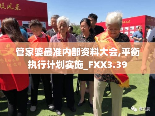 管家婆最准内部资料大会,平衡执行计划实施_FXX3.39