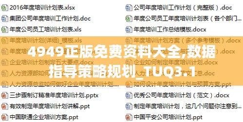 4949正版免费资料大全,数据指导策略规划_TUQ3.1