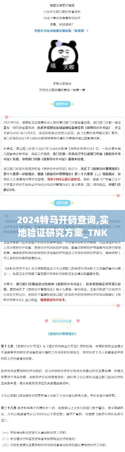 2024特马开码查询,实地验证研究方案_TNK3.98