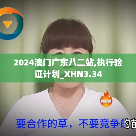 2024澳门广东八二站,执行验证计划_XHN3.34